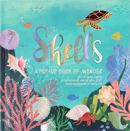 Книга Shells: A Pop-Up Book of Wonder зображення
