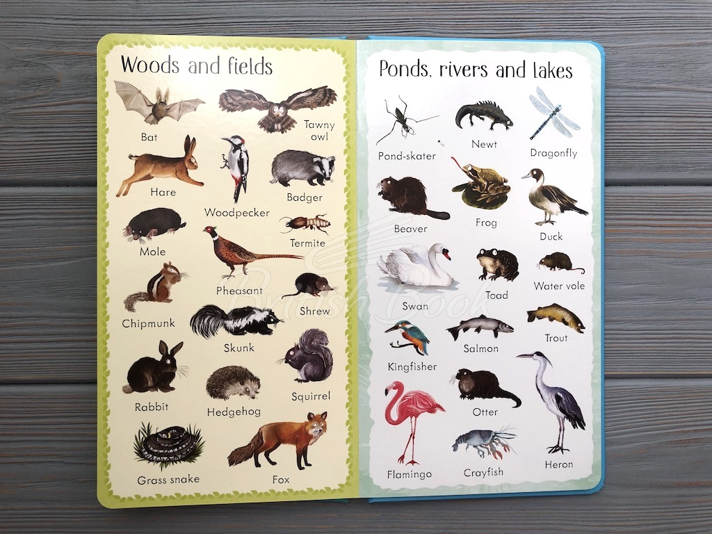 Книга 199 Animals зображення 6