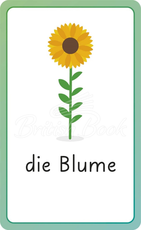 Картки German for Everyone Junior: First Words Flash Cards зображення 5