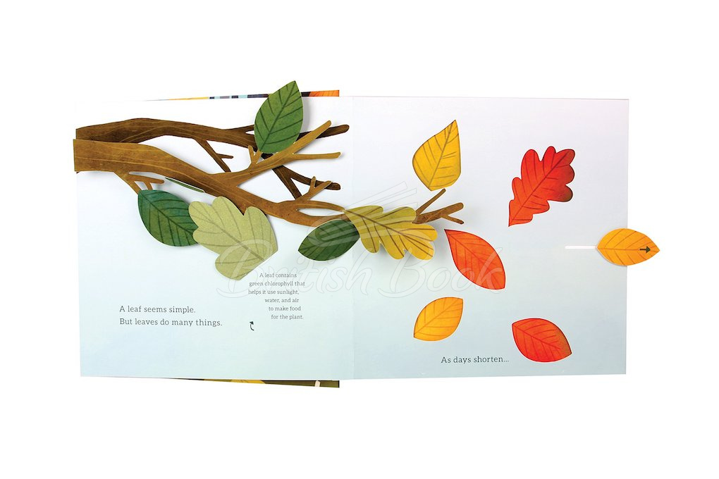 Книга Leaves: An Autumn Pop-Up Book зображення 6