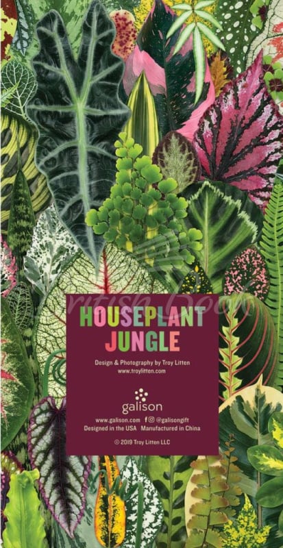 Набір Houseplant Jungle Everyday Pen Set зображення 1