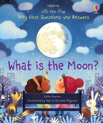 Книга Lift-the-Flap Very First Questions and Answers: What is the Moon? зображення