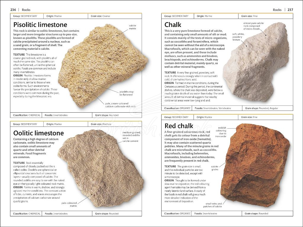 Книга Rocks and Minerals зображення 1