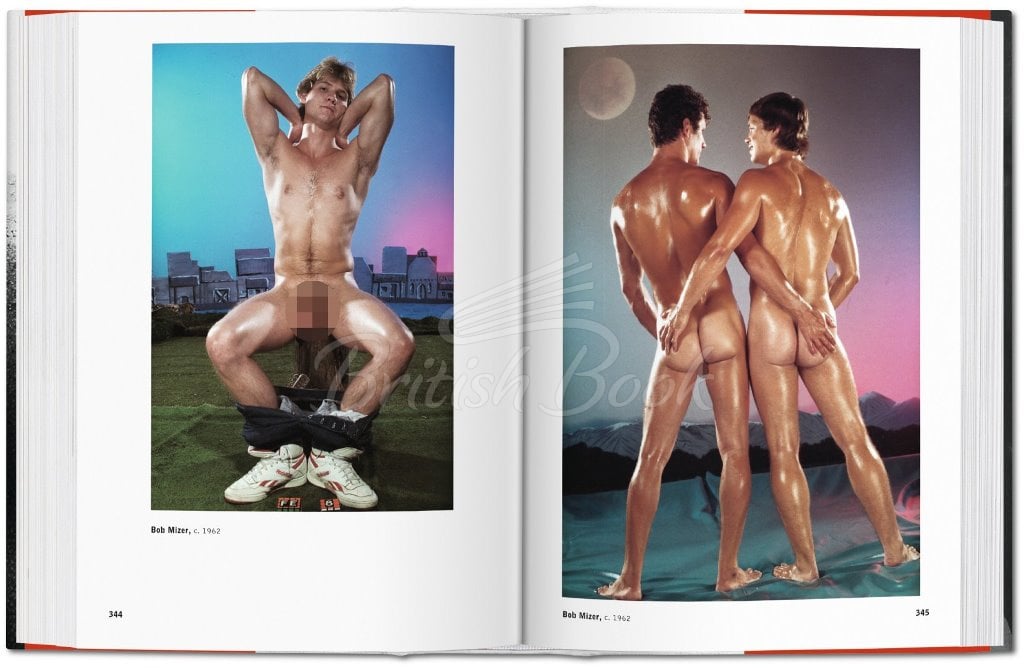 Книга The Male Nude зображення 6