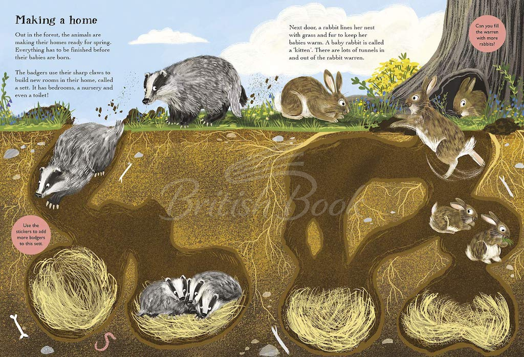 Книга National Trust: A Nature Sticker Book: Hedgehogs, Hares and Other British Animals зображення 2