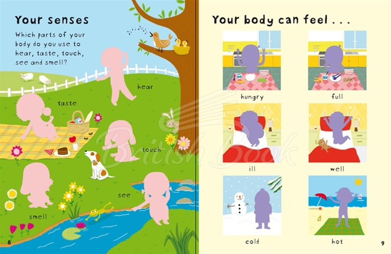 Книга First Sticker Book: Your Body зображення 3
