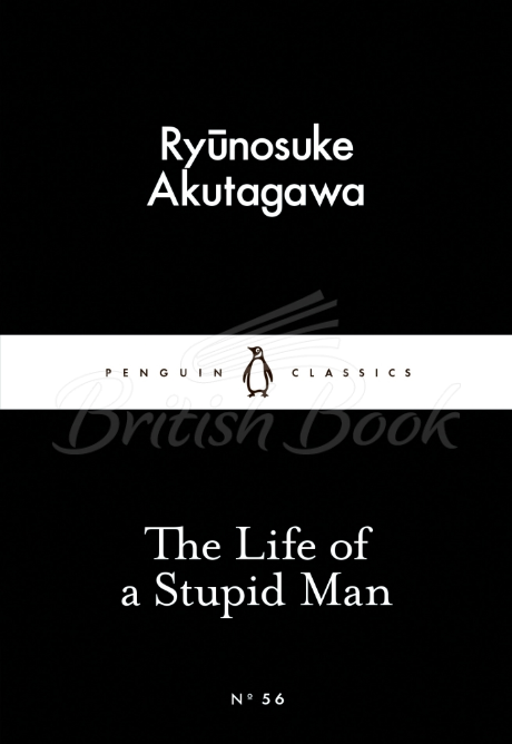 Книга The Life of a Stupid Man зображення