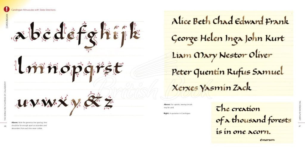Книга The World Encyclopedia of Calligraphy зображення 2
