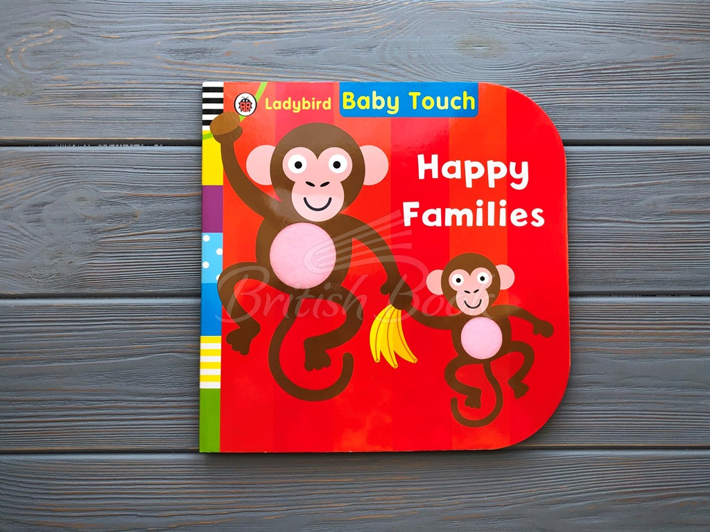 Книга Baby Touch: Happy Families зображення 5