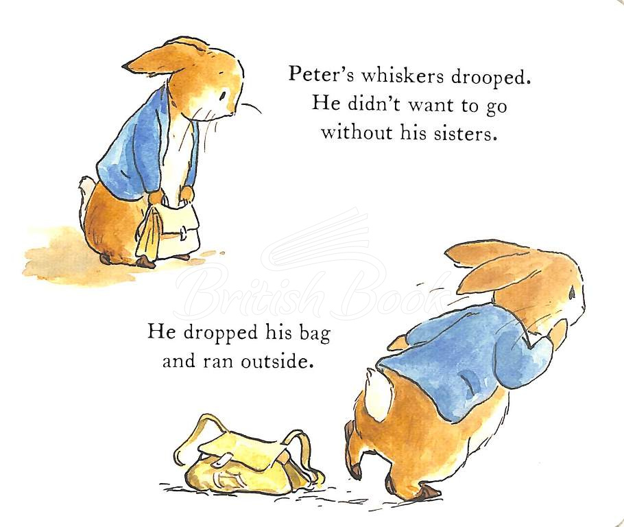 Книга A Peter Rabbit Tale: Starting School зображення 4