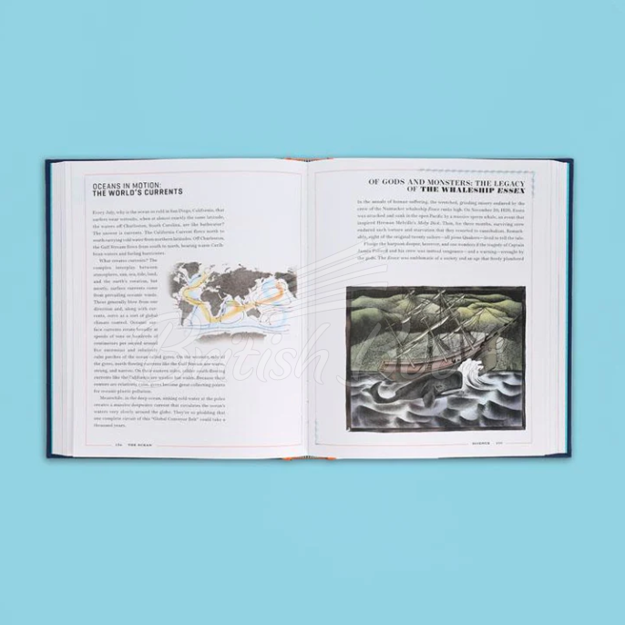 Книга The Ocean: The Ultimate Handbook of Nautical Knowledge зображення 3
