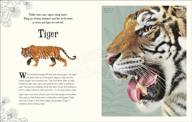 Книга An Anthology of Intriguing Animals зображення 4