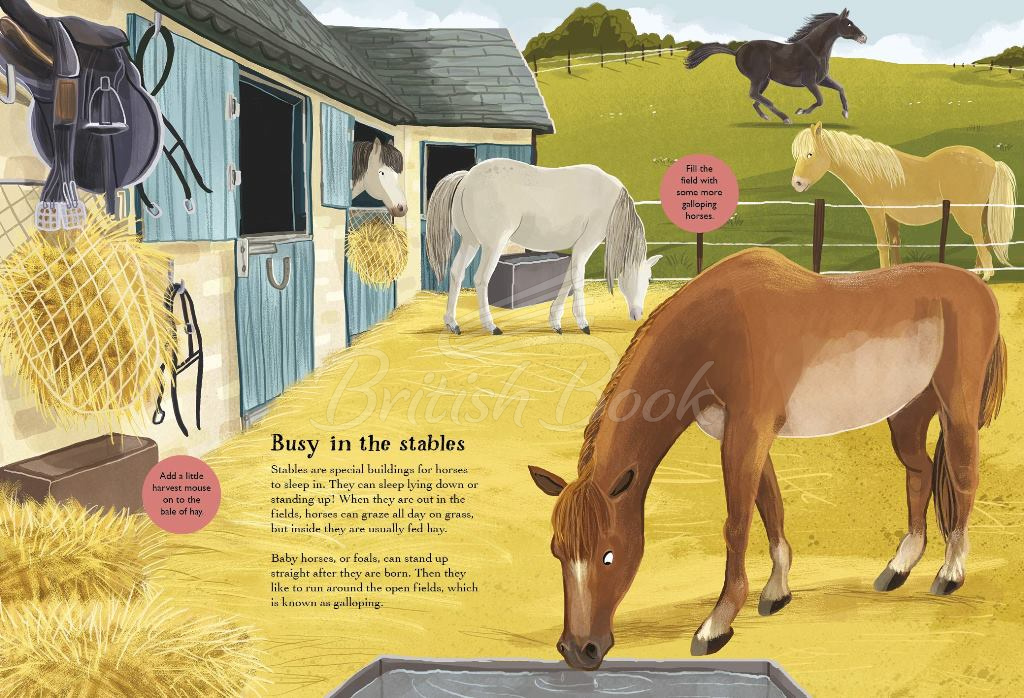 Книга National Trust: Horses, Hens and Other British Farm Animals зображення 2