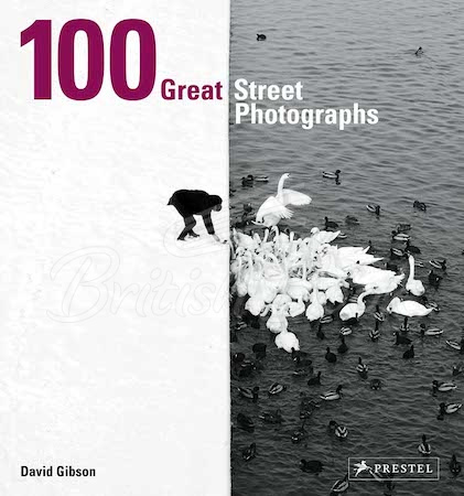 Книга 100 Great Street Photographs зображення