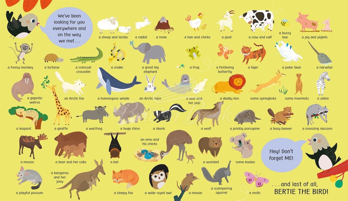 Книга My First Lift-the-Flap: Look and Find Animals зображення 4