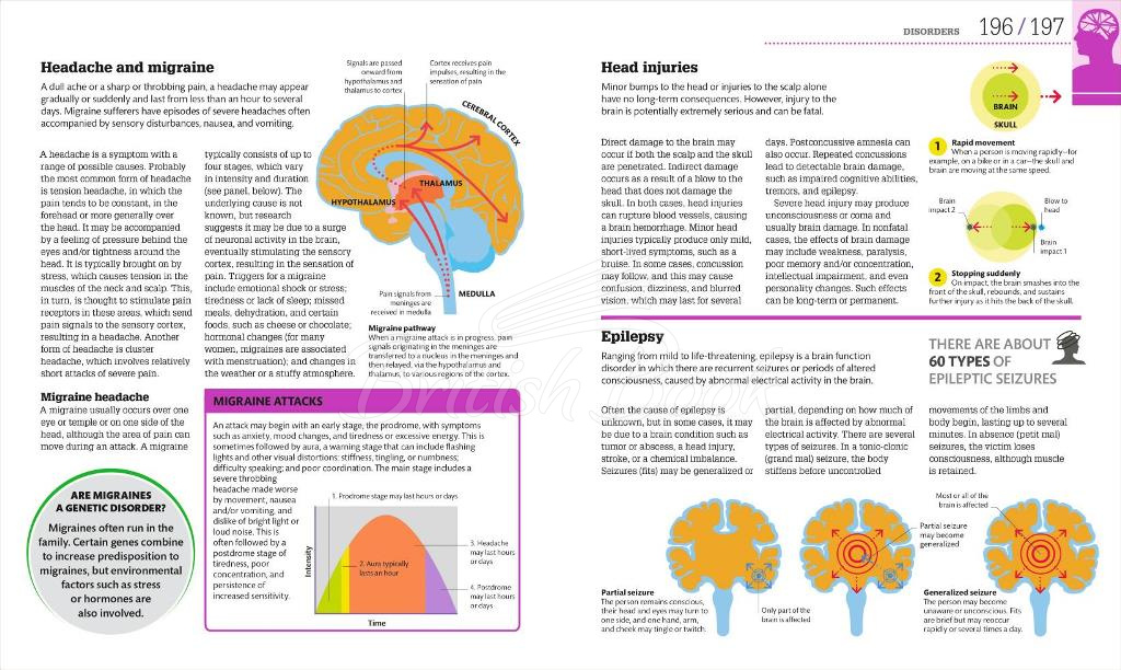 Книга How the Brain Works зображення 3