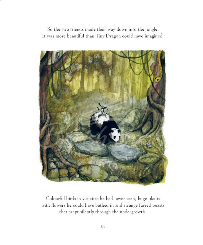 Книга Big Panda and Tiny Dragon: The Journey зображення 4