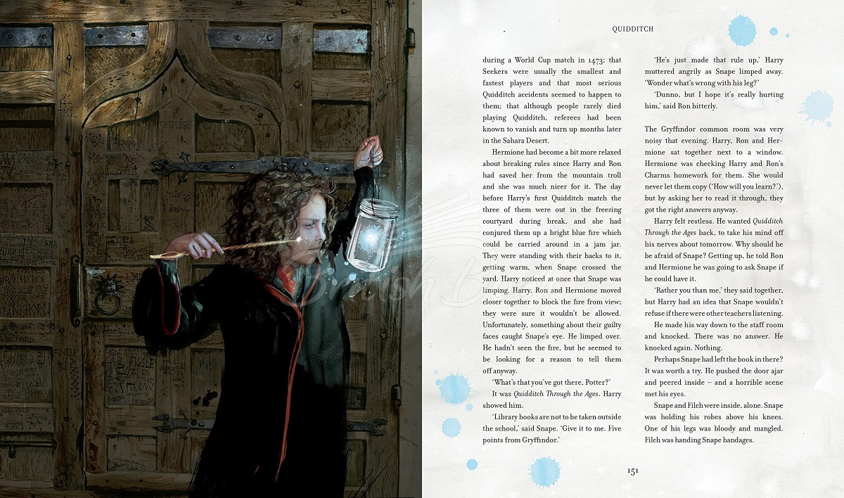 Книга Harry Potter and the Philosopher's Stone (Illustrated Edition) изображение 6