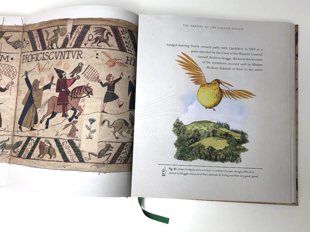 Книга Quidditch Through The Ages Deluxe Illustrated Slipcase Edition зображення 7