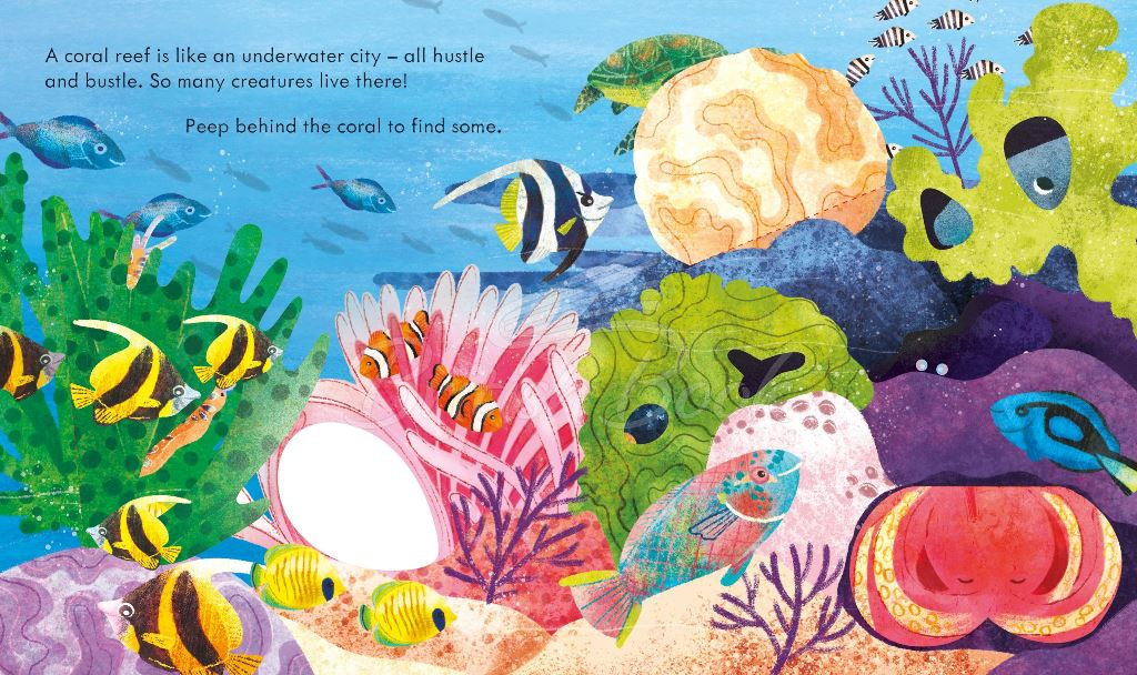 Книга Peep inside a Coral Reef зображення 1