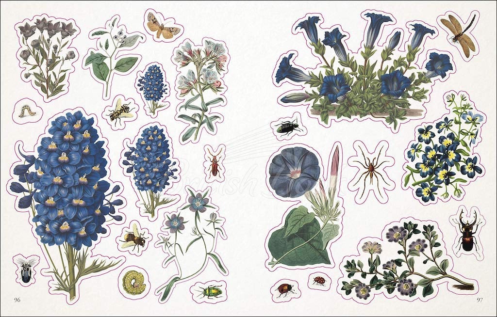 Книга The Botanist's Sticker Anthology зображення 9