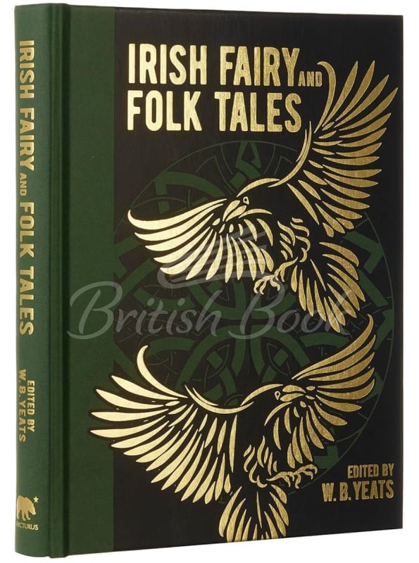 Книга Irish Fairy and Folk Tales зображення