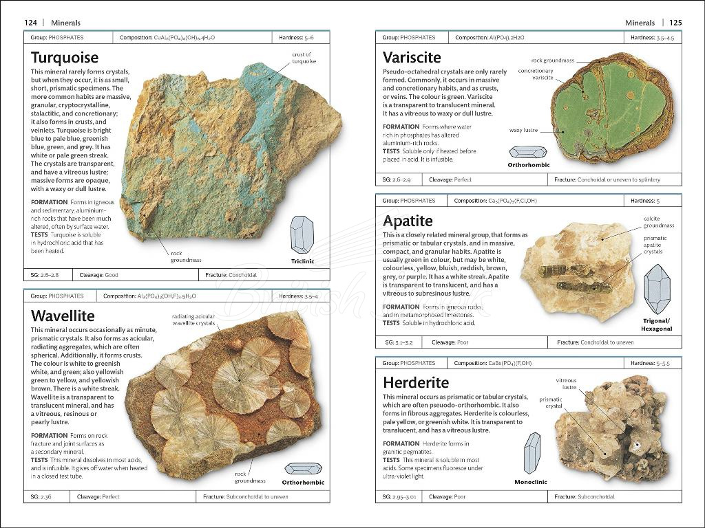 Книга Rocks and Minerals зображення 3