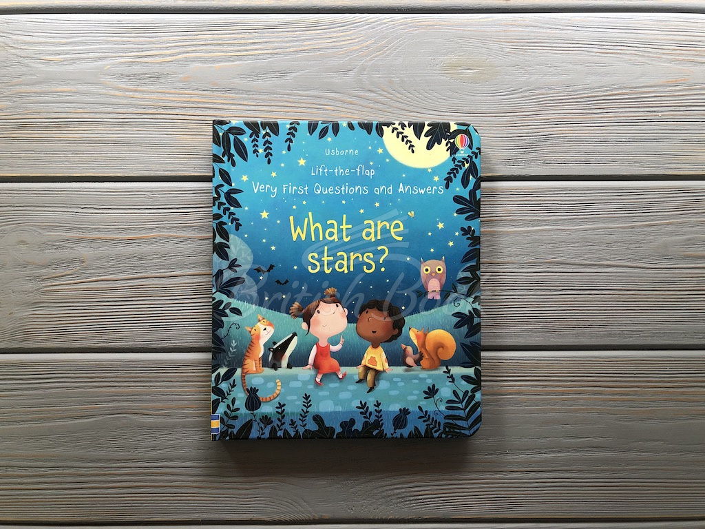 Книга Lift-the-Flap Very First Questions and Answers: What are Stars? зображення 1