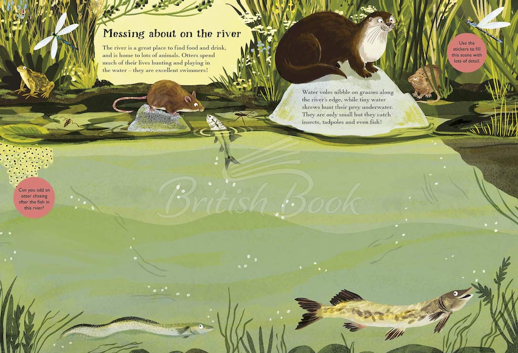 Книга National Trust: A Nature Sticker Book: Hedgehogs, Hares and Other British Animals зображення 1