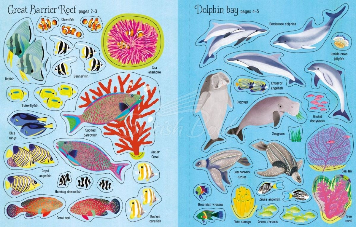 Книга First Sticker Book: Coral Reef зображення 3