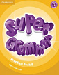 Super Minds 5 Super Grammar