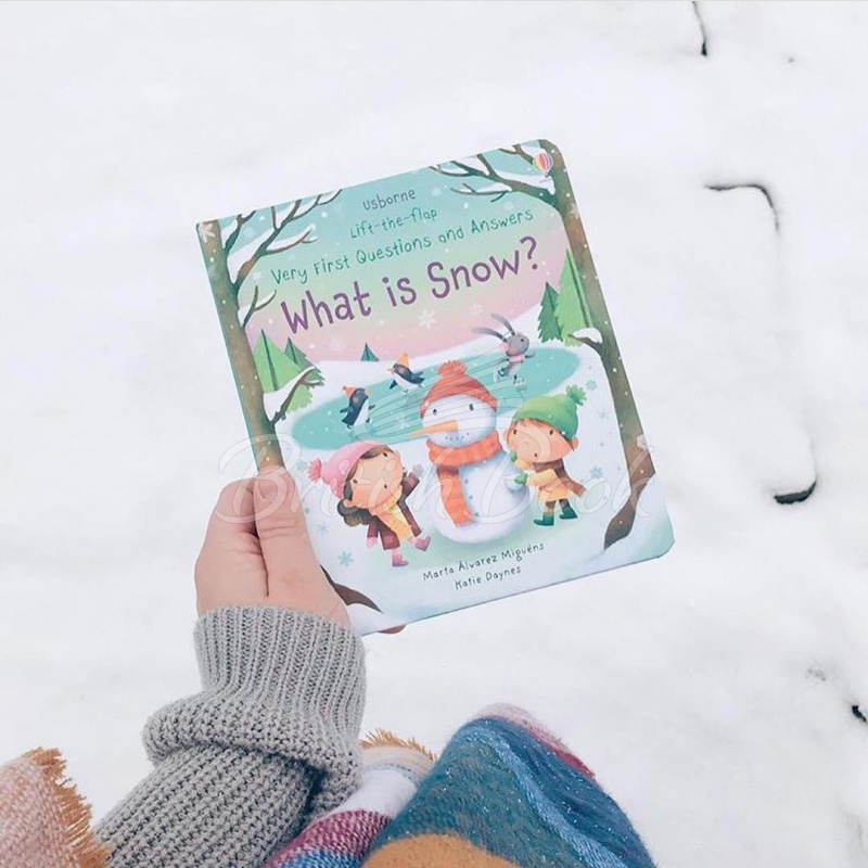 Книга Lift-the-Flap Very First Questions and Answers: What is Snow? зображення 1