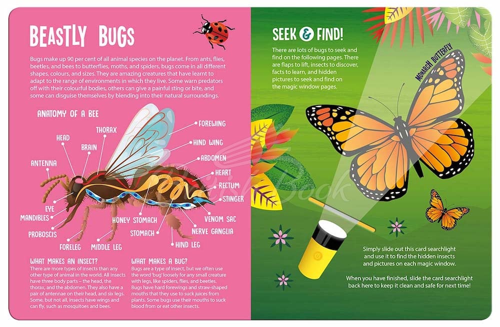 Книга Seek and Find Searchlight: Bugs зображення 1