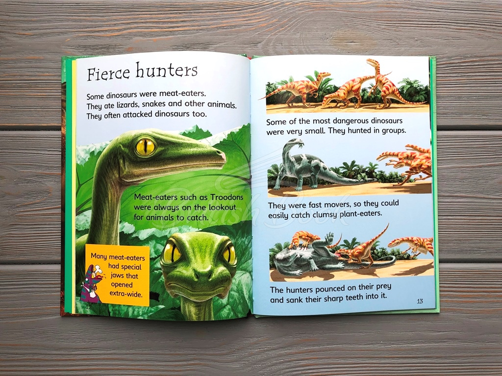 Книга Usborne Beginners Dinosaurs зображення 6