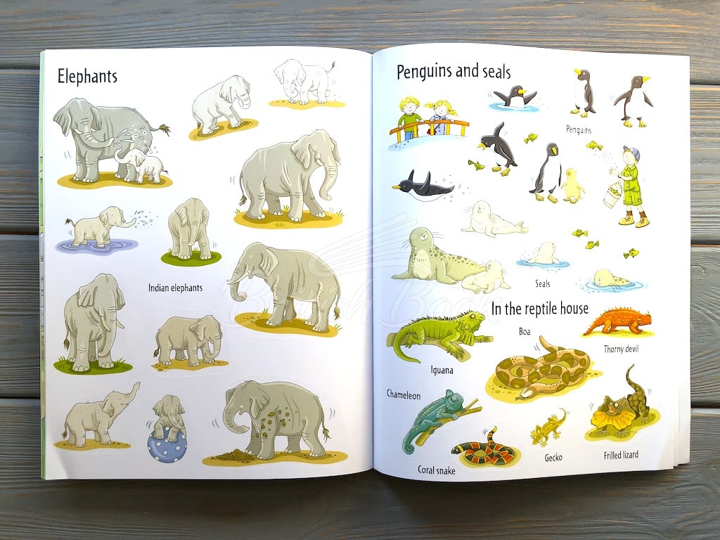 Книга First Sticker Book: Zoo зображення 4