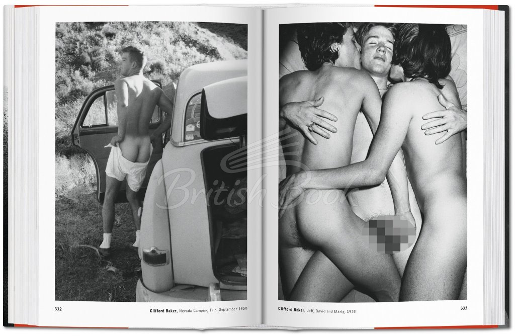 Книга The Male Nude зображення 4
