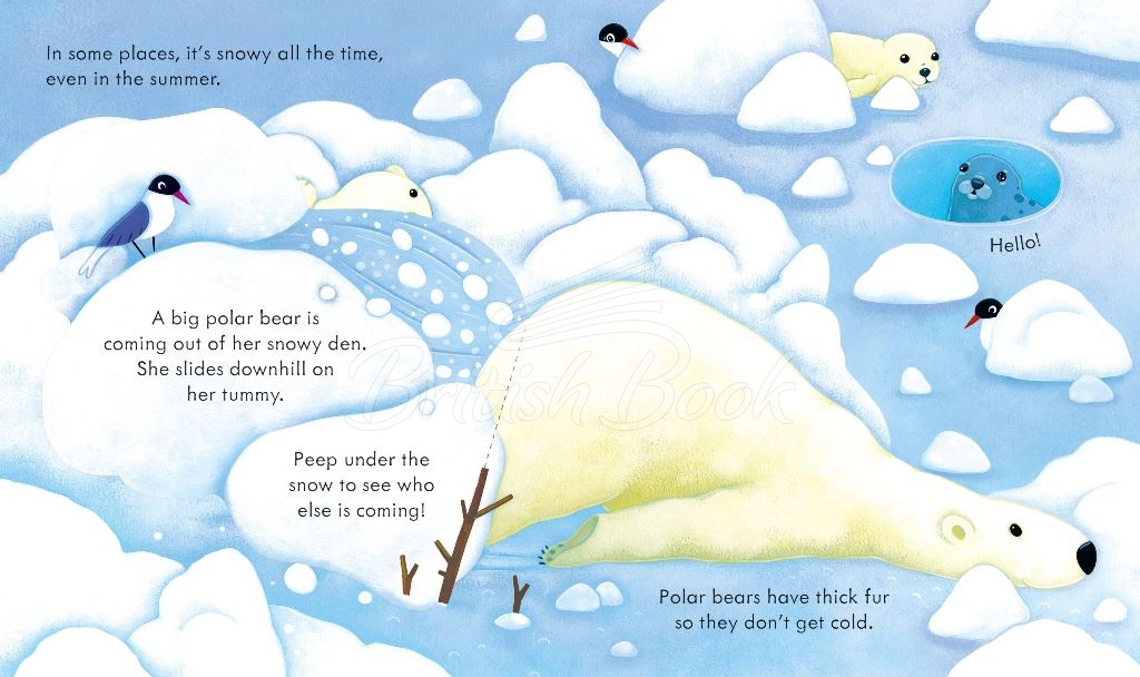 Книга Peep inside Snowy Places зображення 3