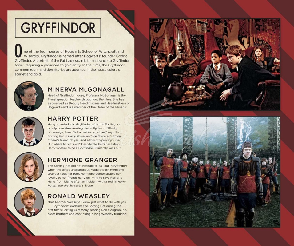 Блокнот Harry Potter: Gryffindor Ruled Journal зображення 2