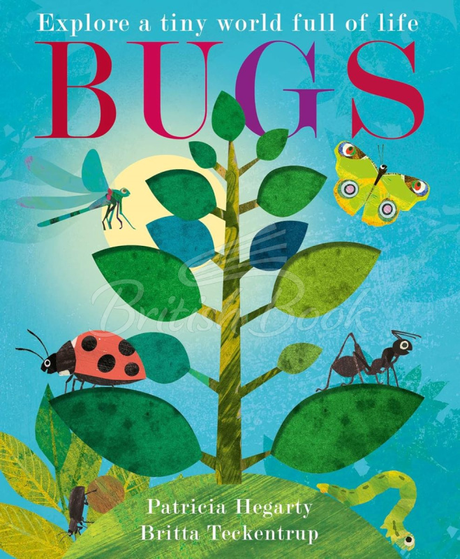 Книга A Peek-Through Introduction to Nature: Bugs зображення