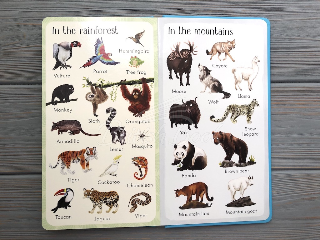 Книга 199 Animals зображення 8