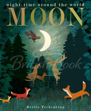 Книга Moon: Night-time around the World зображення