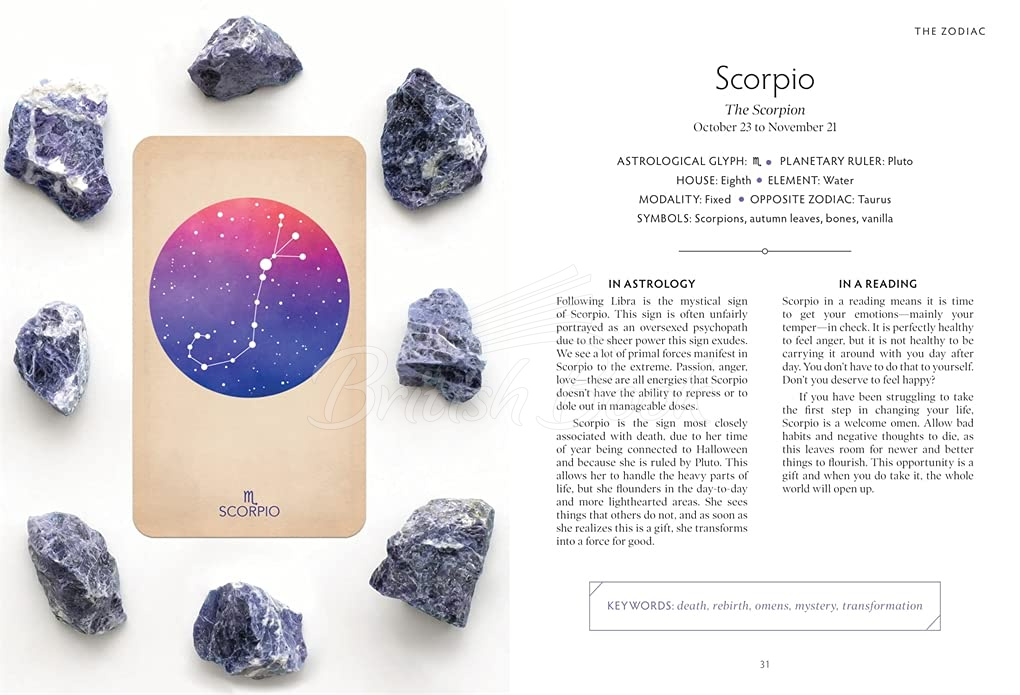 Картки The Arcana of Astrology Boxed Set: Oracle Deck and Guidebook for Cosmic Insight зображення 8