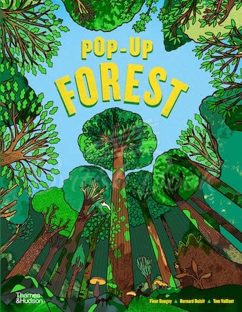 Книга Pop-Up Forest зображення