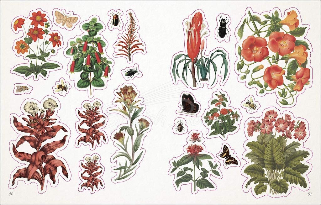 Книга The Botanist's Sticker Anthology зображення 5