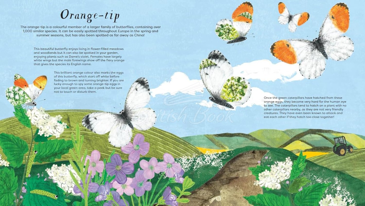 Книга National Trust: Butterfly Skies зображення 1