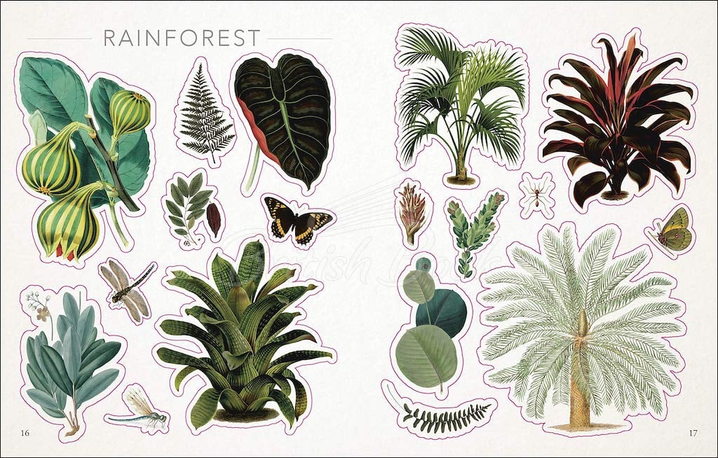 Книга The Botanist's Sticker Anthology зображення 6