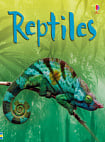 Usborne Beginners Reptiles