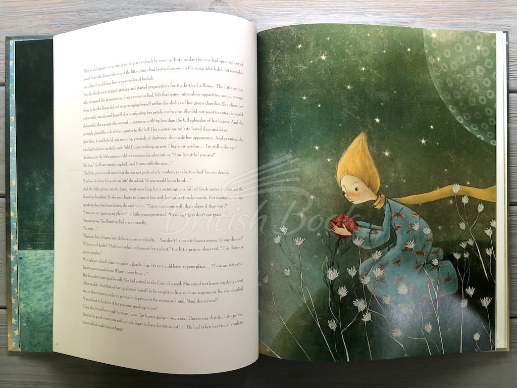 Книга The Little Prince зображення 8