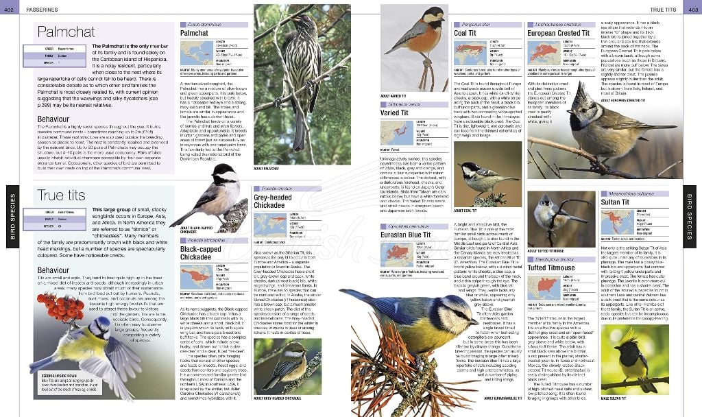 Книга Bird: The Definitive Visual Guide зображення 2