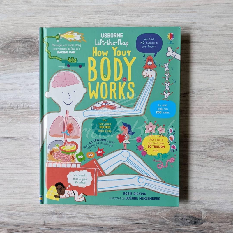 Книга Lift-the-Flap How Your Body Works зображення 1
